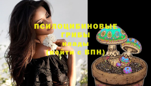 спайс Володарск