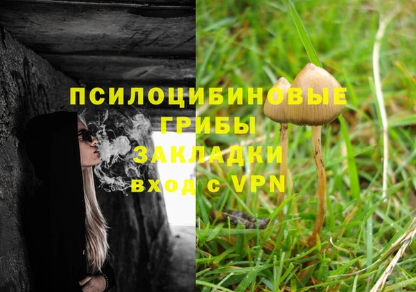 спайс Володарск